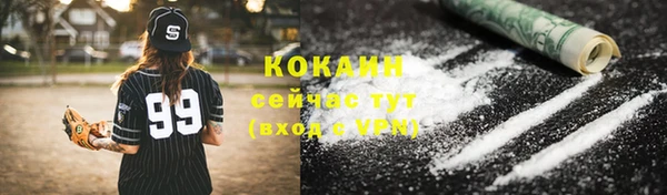 стафф Арсеньев