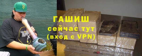 стафф Арсеньев