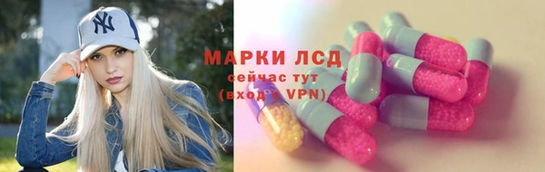 прущие грибы Балабаново