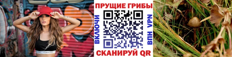Галлюциногенные грибы ЛСД  наркотики  Северобайкальск 