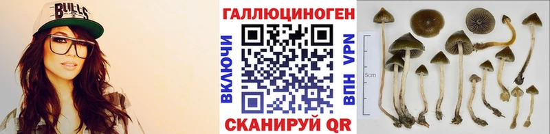 Псилоцибиновые грибы прущие грибы Северобайкальск